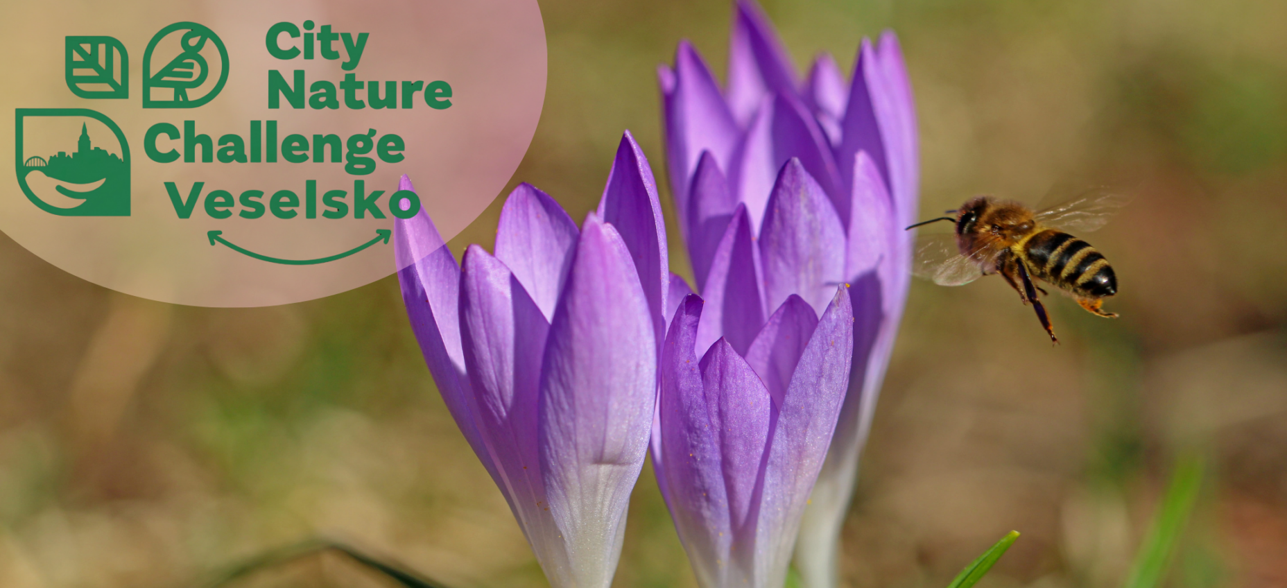 Návrh bez názvu (10)